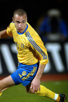 Henrik Larsson, Sverige