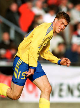 Johan Elmander, Sverige