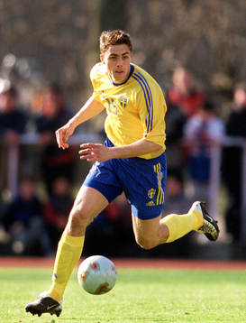 Johan Elmander, Sverige