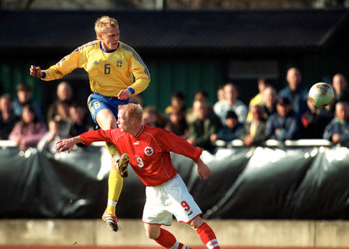 Richard Henriksson, Sverige
