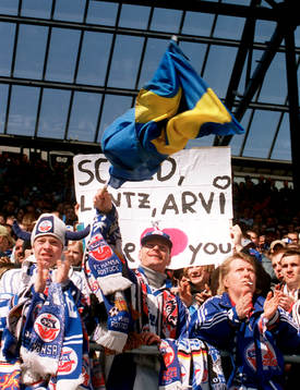 Fotboll, tysk, supporter, Hansa Rostock