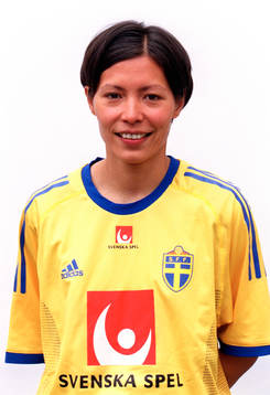 Jane Törnqvist, Sverige