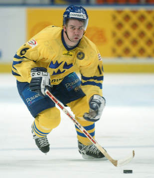 Nichlas Falk, Sverige