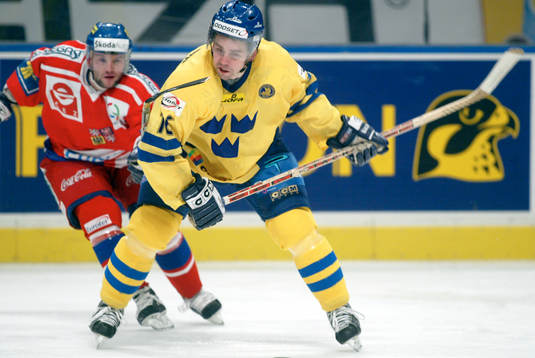 Nichlas Falk, Sverige
