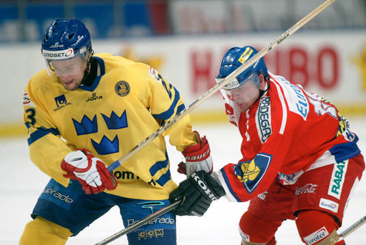 Ronnie Sundin, Sverige