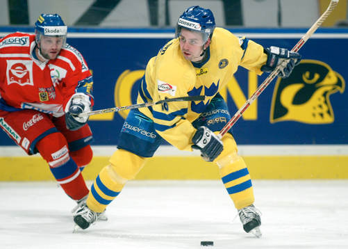 Nichlas Falk, Sverige