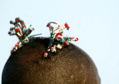 Afrikanska mästerskapen, Taribo West, Nigeria