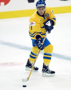 Magnus Johansson, Sverige