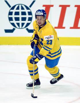 Ronnie Sundin, Sverige
