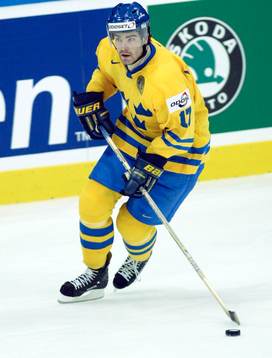Mathias Johansson, Sverige