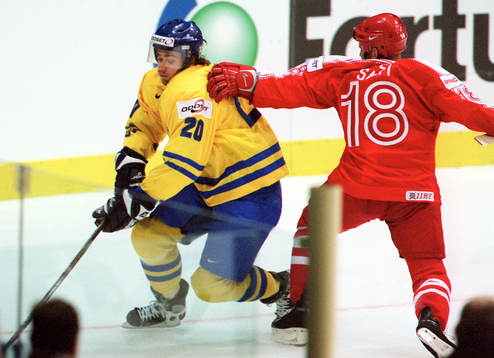 Henrik Zetterberg, Sverige