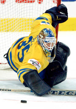 Tommy Salo, Sverige höll nollan