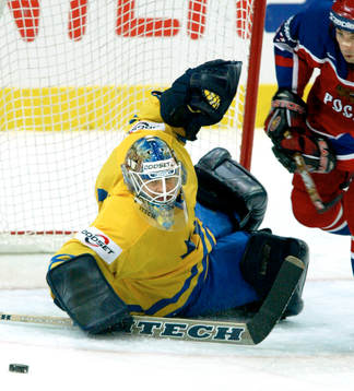 Tommy Salo, Sverige