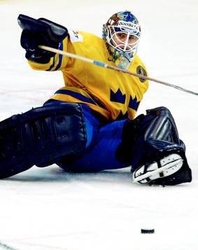 Tommy Salo, Sverige