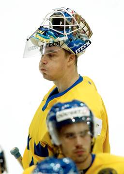 Tommy Salo, Sverige