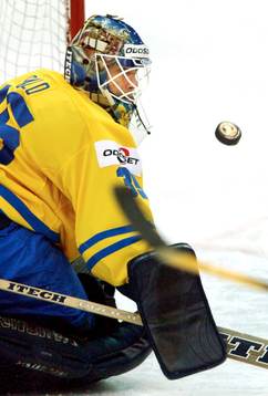 Tommy Salo, Sverige