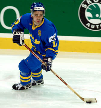 Nichlas Falk, Sverige
