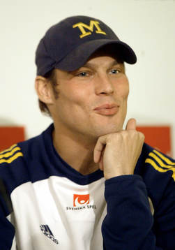 Fredrik Ljungberg, Sverige