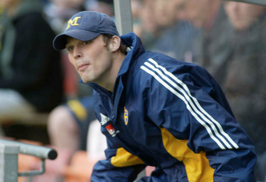 Fredrik Ljungberg, Sverige