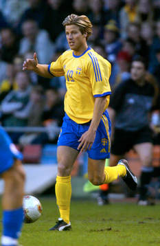 Pontus Farnerud, Sverige