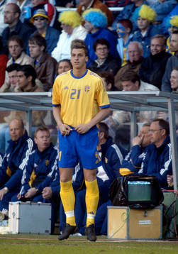 Zlatan Ibrahimovic, Sverige