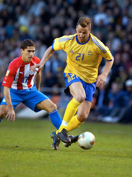 Zlatan Ibrahimovic, Sverige