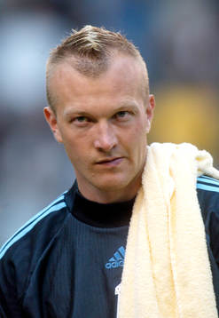 Magnus Hedman, Sverige