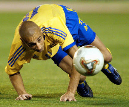 Henrik Larsson, Sverige