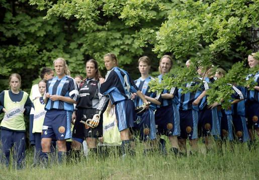 Entré, Djurgården