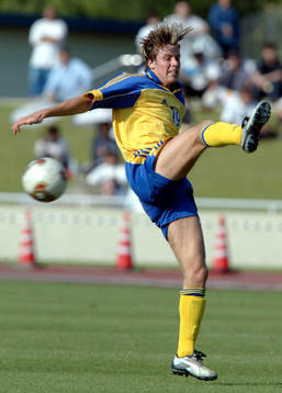 Pontus Farnerud, Sverige