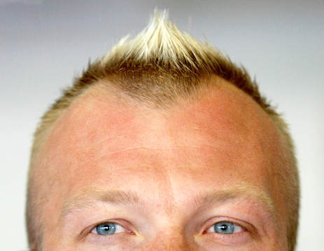 Magnus Hedman, Sverige