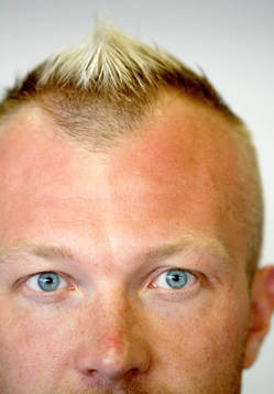 Magnus Hedman, Sverige