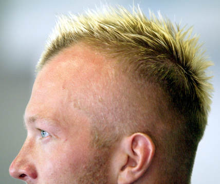 Magnus Hedman,  Sverige