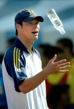 Fredrik Ljungberg, Sverige