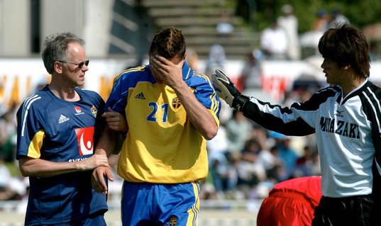 Zlatan Ibrahimovic, Sverige, skada