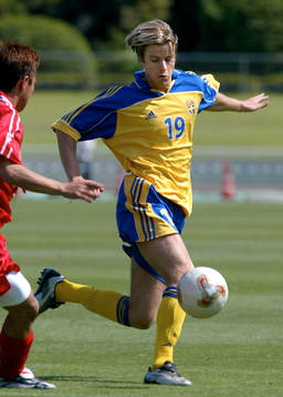 Pontus Farnerud, Sverige