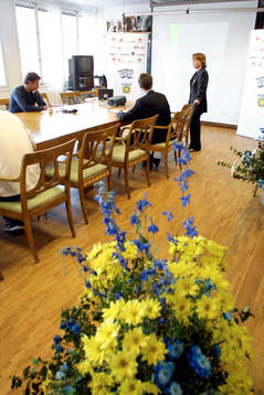 Marika Domanski Lyfors, Sverige