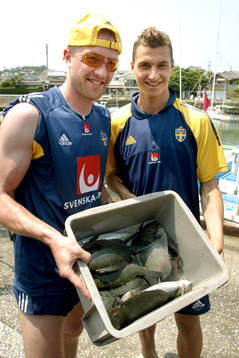 Zlatan Ibrahimovic och Magnus Hedman, Sverige