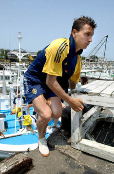 Zlatan Ibrahimovic, Sverige