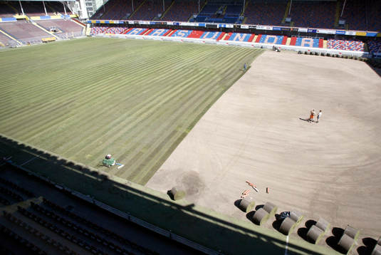Råsunda, gräs, gräsmatta, skötsel