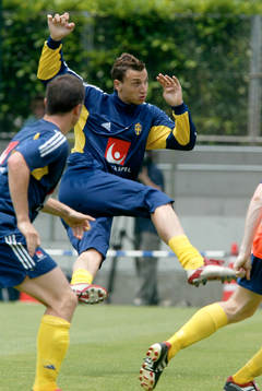 Zlatan Ibrahimovic, Sverige