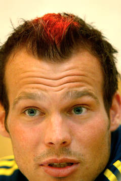 Fredrik Ljungberg, Sverige