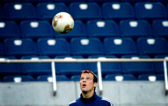 Fredrik Ljungberg, Sverige