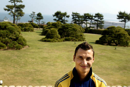 Zlatan Ibrahimovic, Sverige