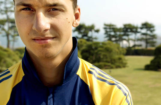 Zlatan Ibrahimovic, Sverige