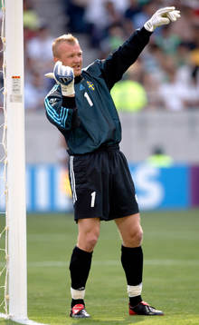 Magnus Hedman, Sverige
