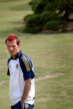 Fredrik Ljungberg, Sverige