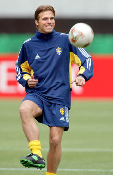 Anders Svensson, Sverige