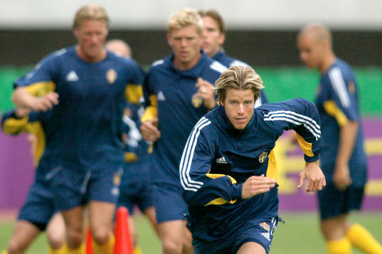 Pontus Farnerud, Sverige