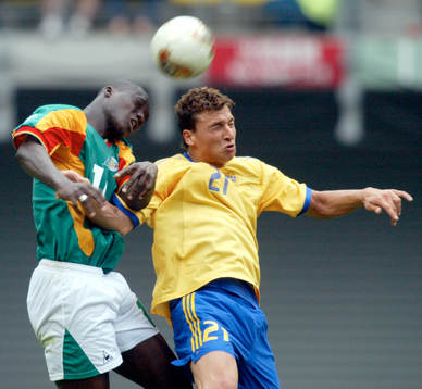 Zlatan Ibrahimovic, Sverige